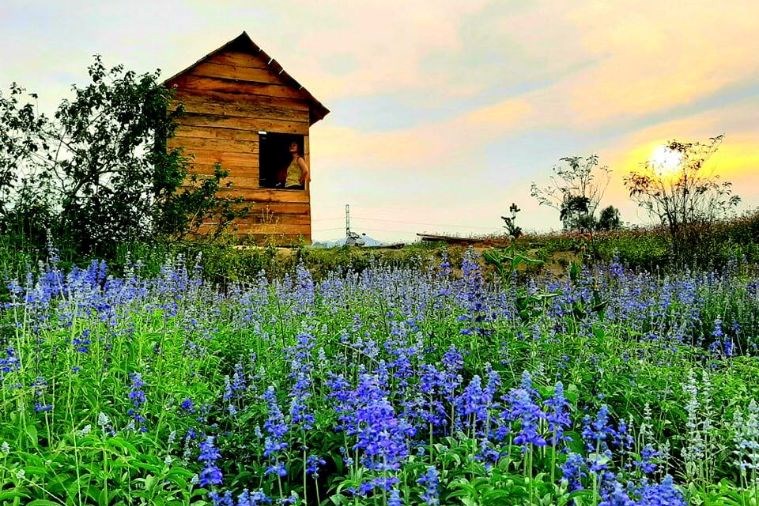 Nông trại Green Life Farm Huế