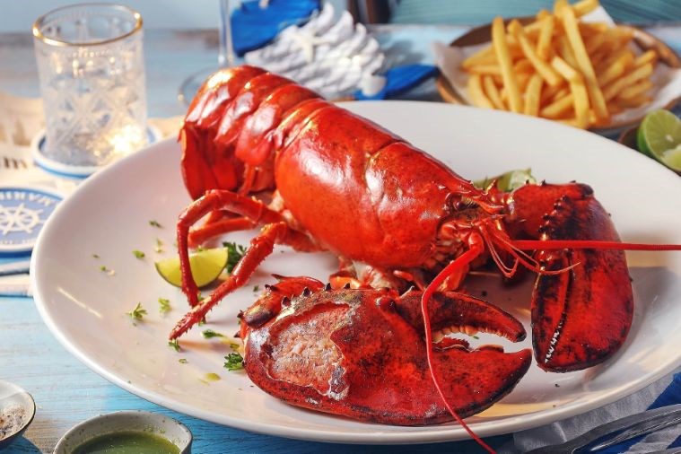 Marina Club Lounge Cafe - Vũng Tàu