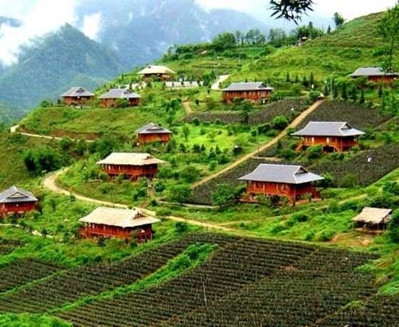 Bản Tả Phìn - Sapa