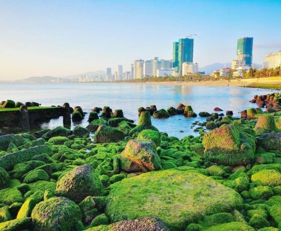 Bãi Đá Rêu - Nha Trang