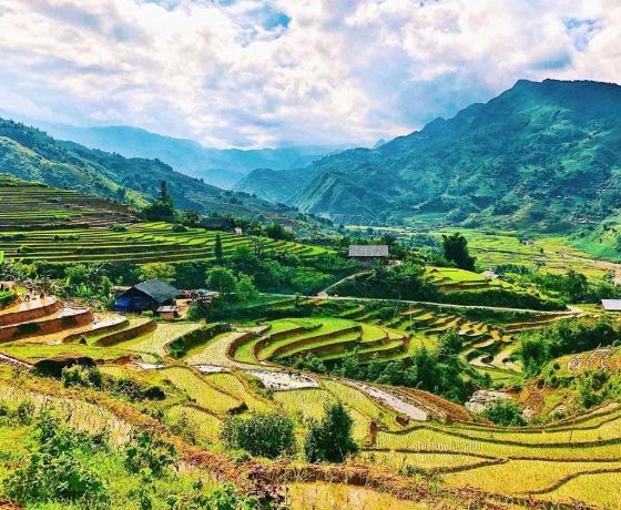 Bản Tả Van - Sapa