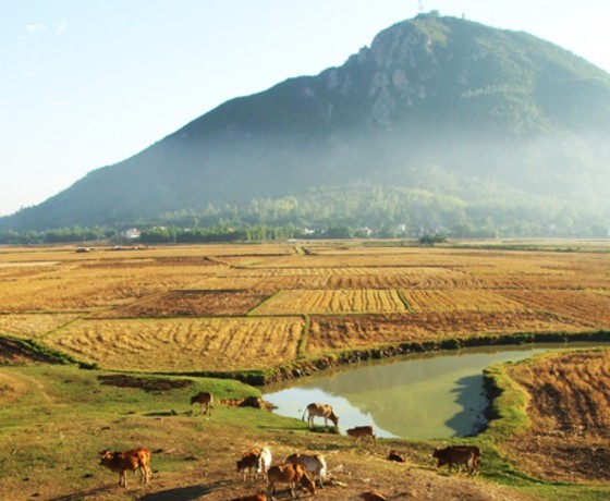 Núi Chóp Chài - Phú Yên