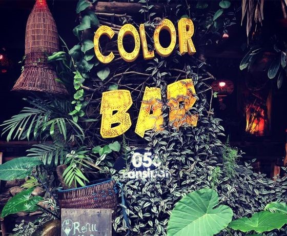 Color Bar - Sapa