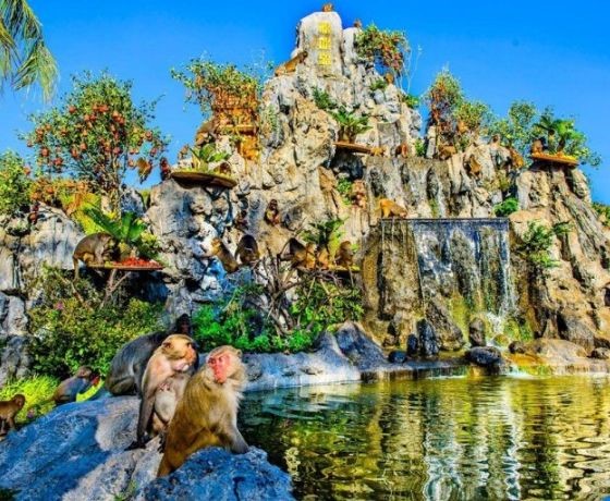 Hòn Lao - Đảo Khỉ - Nha Trang