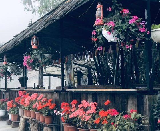 Fansipan Terrace Café - Sapa