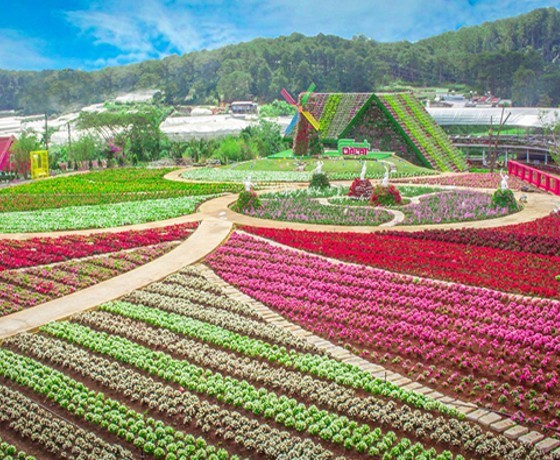 Fresh Garden - Đà Lạt