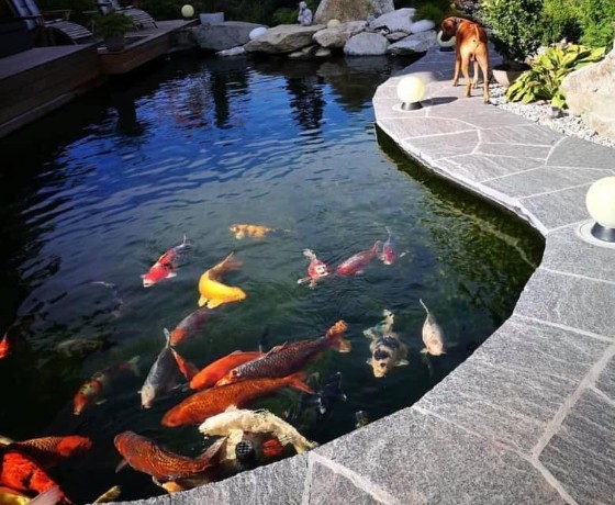 Koi cafe - Phú Yên