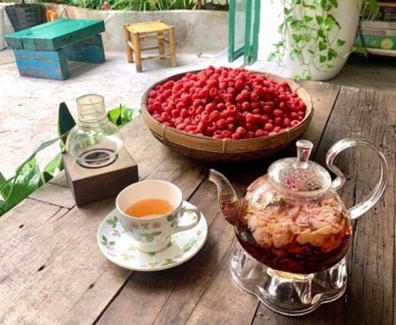 Lotus Flower - Tiệm Trà Hạnh Phúc - Đà Nẵng