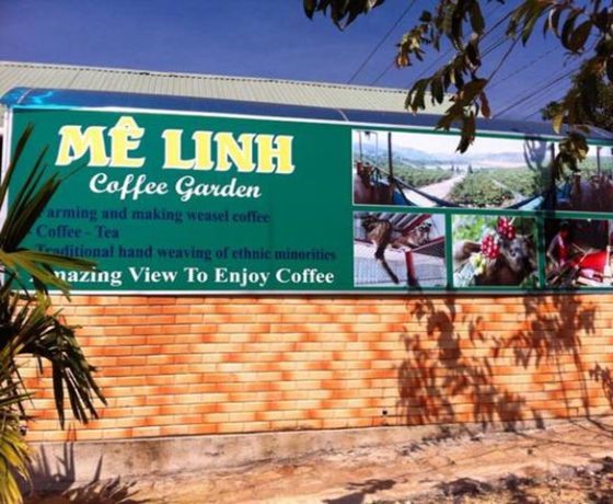 Mê Linh Coffee - Đà Lạt