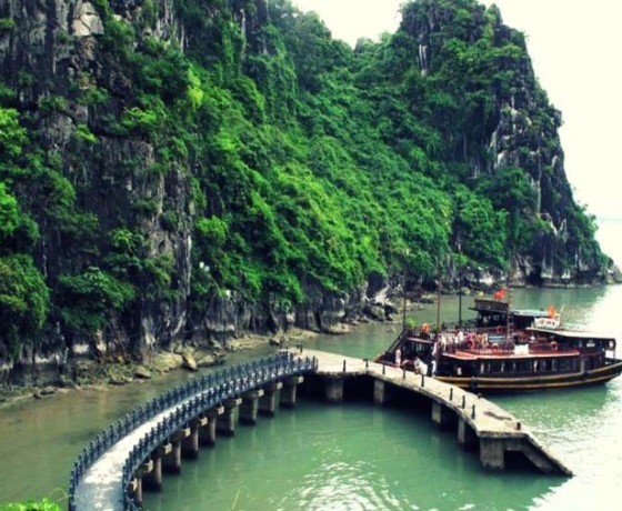 Hang Đầu Gỗ - Hạ Long