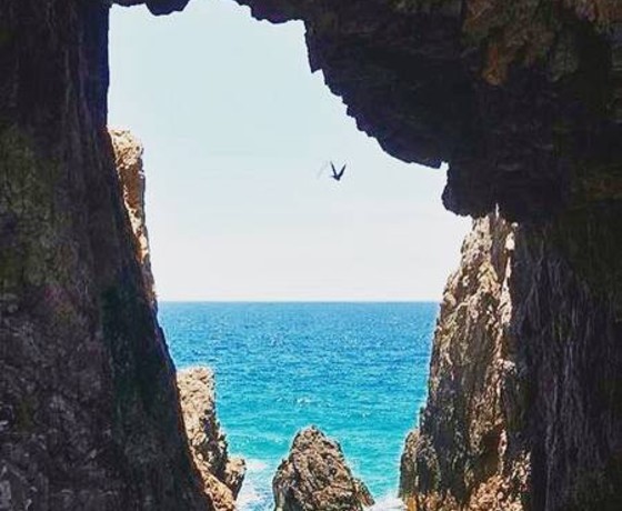 Mũi vi Rồng - Quy Nhơn