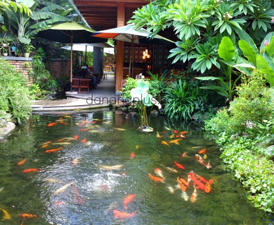 Nia Cafe - Đà Nẵng