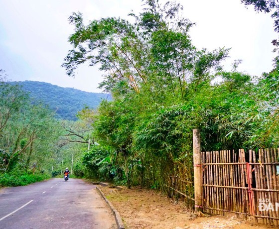 Sơn Trà Tịnh Viên - Đà Nẵng