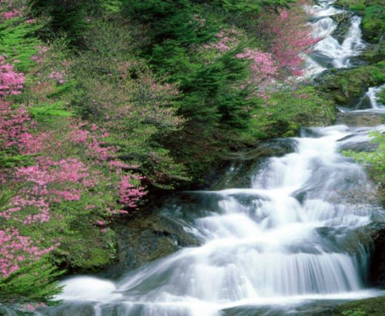 Suối Tranh - Phú Quốc