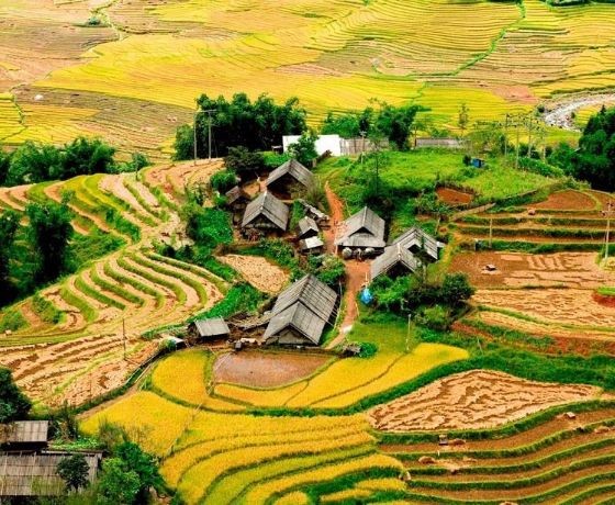 Thung Lũng Mường Hoa - Sapa