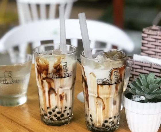 Hari Tori - Đà Nẵng