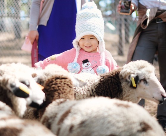 Sở thú ZooDoo- Đà Lạt