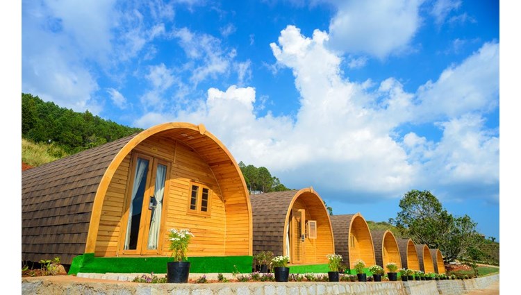 Top 25 Resort Đà Lạt giá rẻ view rừng thông đẹp chuẩn 3-4-5 sao tốt nhất