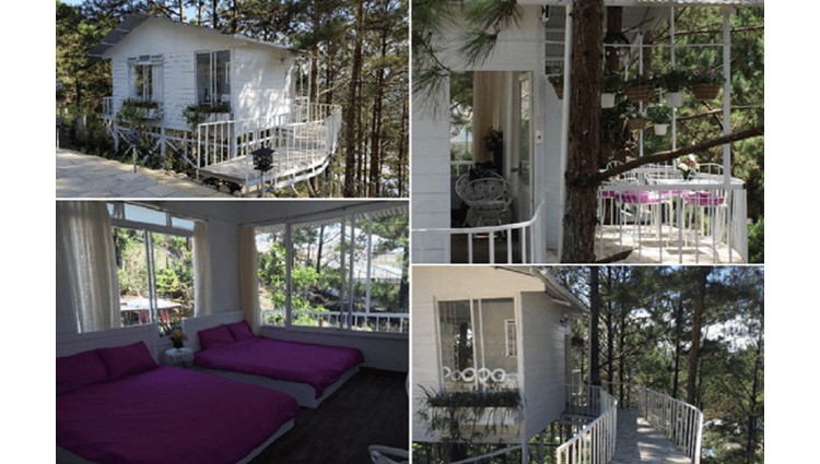 TOP 10 Homestay Đà Lạt View Siêu Đẹp