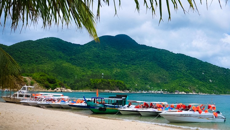 Những trải nghiệm đầy mê hoặc ở cù lao Chàm