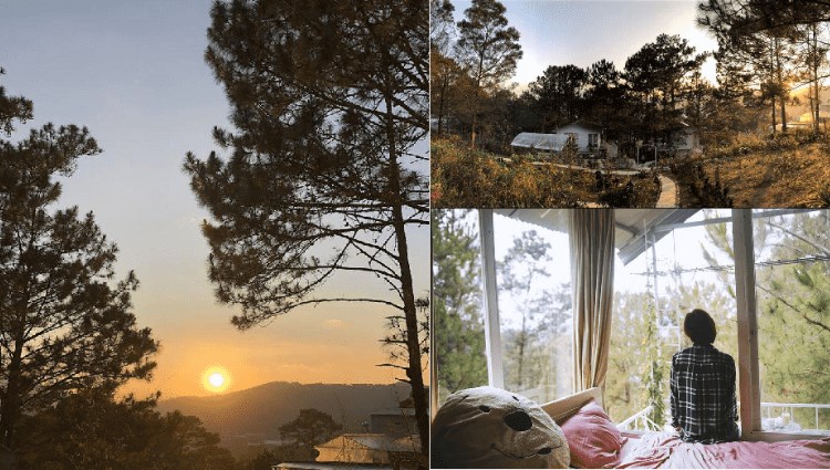 Những Homestay Đà Lạt 2 Người Lãng Mạn Cực Riêng Tư