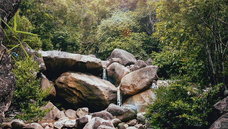 Không chỉ có Hội An, Quảng Nam còn nhiều thứ đẹp đến thế này!