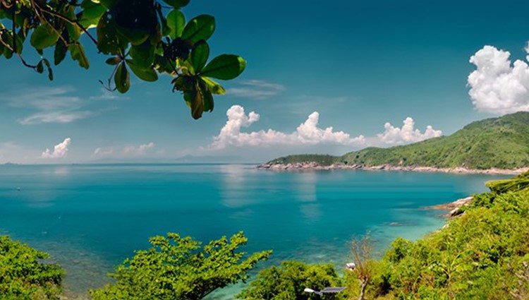 Check in Hòn Chảo - Địa điểm lặn ngắm san hô không kém Cù Lao Chàm