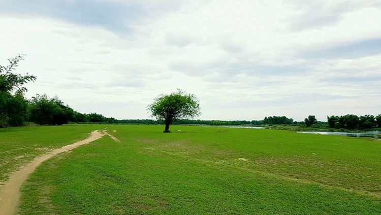 Bỏ trốn phố thị tìm về ốc đảo Vạn Buồng “đốn tim” bao du khách tại Quảng Nam