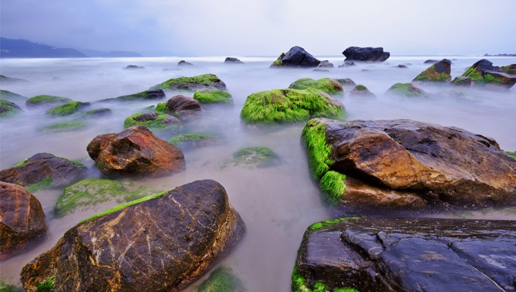 Rạn Nam Ô địa điểm du lịch nguyên sơ mộc mạc