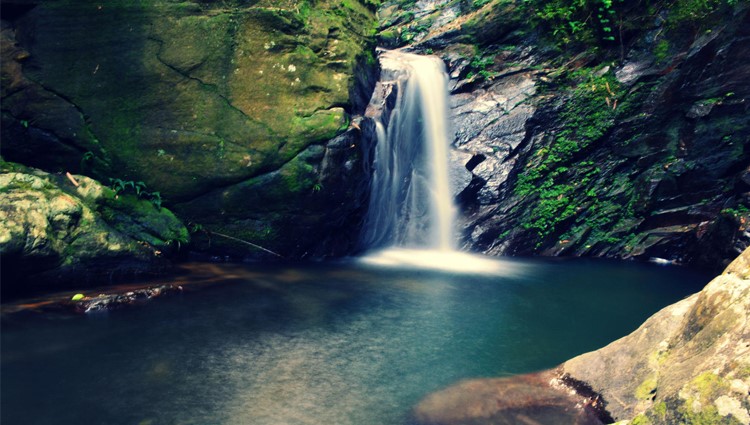 Vẻ đẹp như tranh của núi rừng Bạch Mã