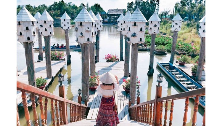 Vẻ Đẹp Của Rừng Tràm Trà Sư, An Giang