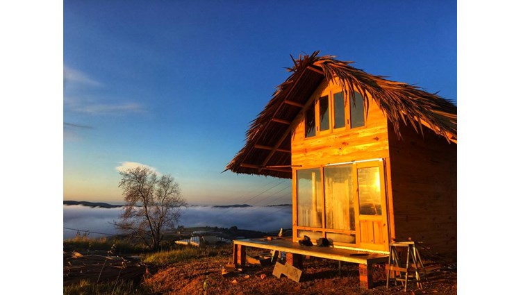 Top 10 Homestay săn mây Đà Lạt có view đẹp ngắm đồi rừng núi