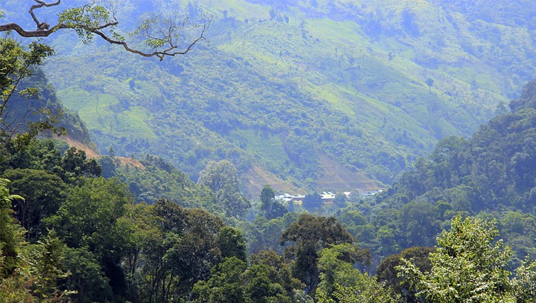 Phượt lên với núi rừng xanh thẳm Tây Giang – Sapa ngay giữa lòng miền Trung 