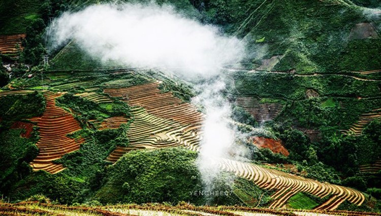 Thiên đường mây Tà Xùa giữa mùa hè