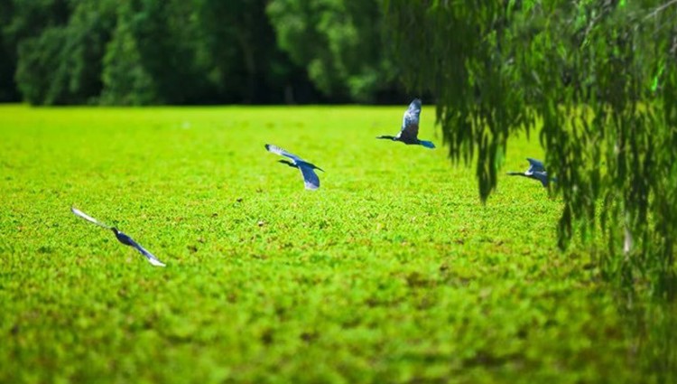 Những điểm du lịch trong nước hút khách dịp lễ 2/9