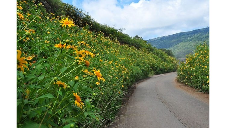 Nghỉ lễ Quốc khánh 2/9/2022 hẳn 4 ngày thì đi đâu? Những điểm đến gợi ý đáng để cân nhắc lên lịch đây.