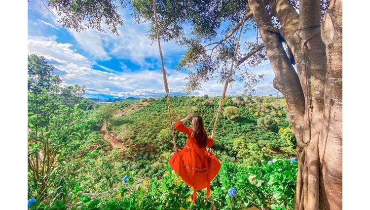 Dalaland Đà Lạt – Tiểu Bali thu nhỏ tuyệt đẹp