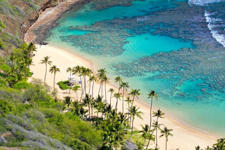  Tour Cù Lao Chàm 1 ngày