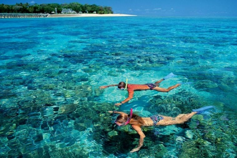  Tour Cù Lao Chàm 1 ngày