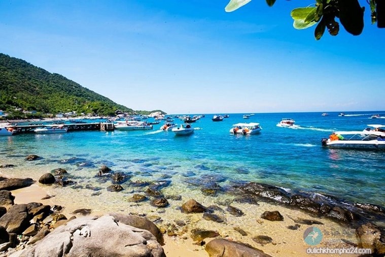  Tour Cù Lao Chàm 1 ngày