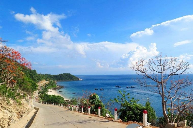  Tour Cù Lao Chàm 1 ngày