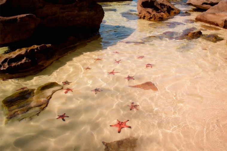 Tour Bắc Đảo Rạch Vẹm - Grand World Phú Quốc