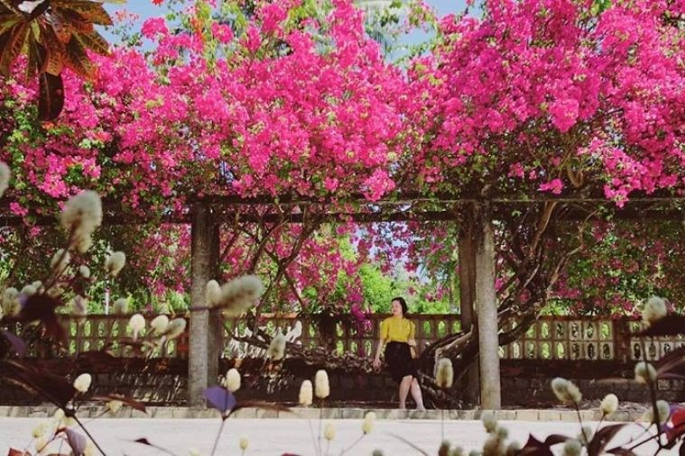 Tour Quy Nhơn - Kỳ Co - Eo Gió - Bãi Xép - Ghềnh Ông 4 Ngày 3 Đêm