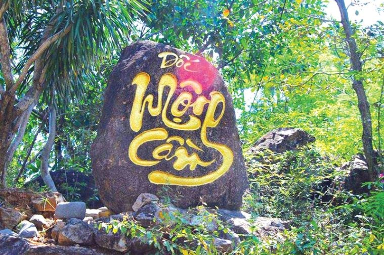 Tour Quy Nhơn - Hầm Hô - Kỳ Co - Eo Gió - Tháp Đôi 4 Ngày 3 Đêm