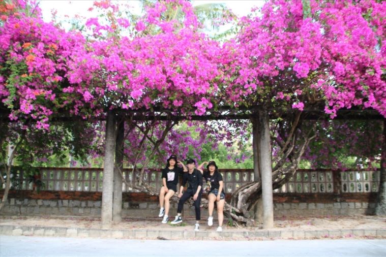 Tour Quy Nhơn - Hầm Hô - Kỳ Co - Eo Gió - Tháp Đôi 4 Ngày 3 Đêm