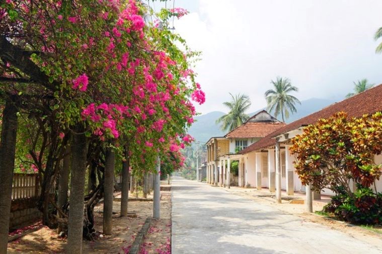 Tour Quy Nhơn - Hầm Hô - Kỳ Co - Eo Gió - Tháp Đôi 4 Ngày 3 Đêm