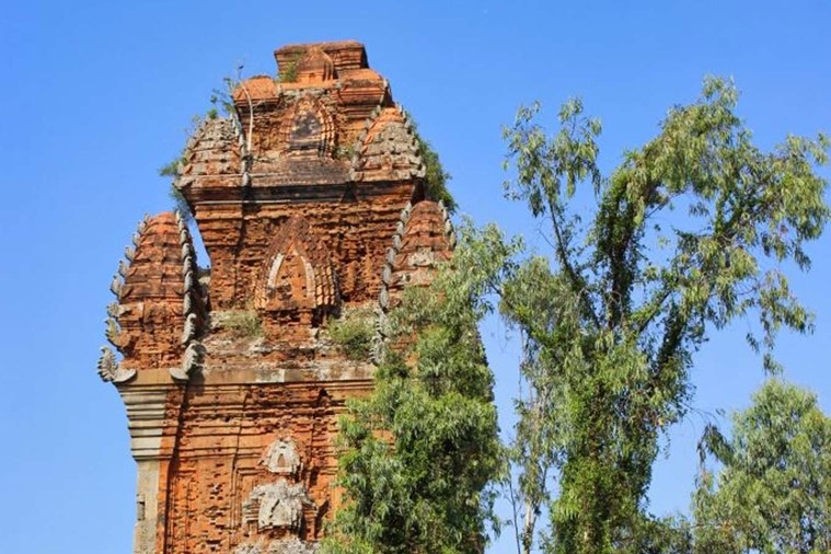 Tour Tháp Chăm Bình Định 1 Ngày