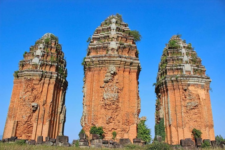 Tour Tháp Chăm Bình Định 1 Ngày