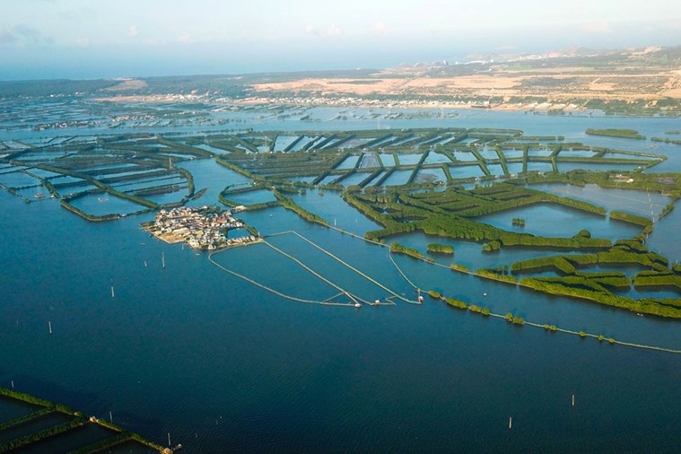 Tour Cồn Chim - Võ Đường Chùa Long Phước 1 Ngày