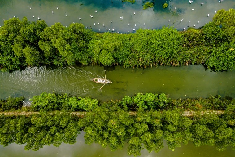 Tour Cồn Chim - Võ Đường Chùa Long Phước 1 Ngày